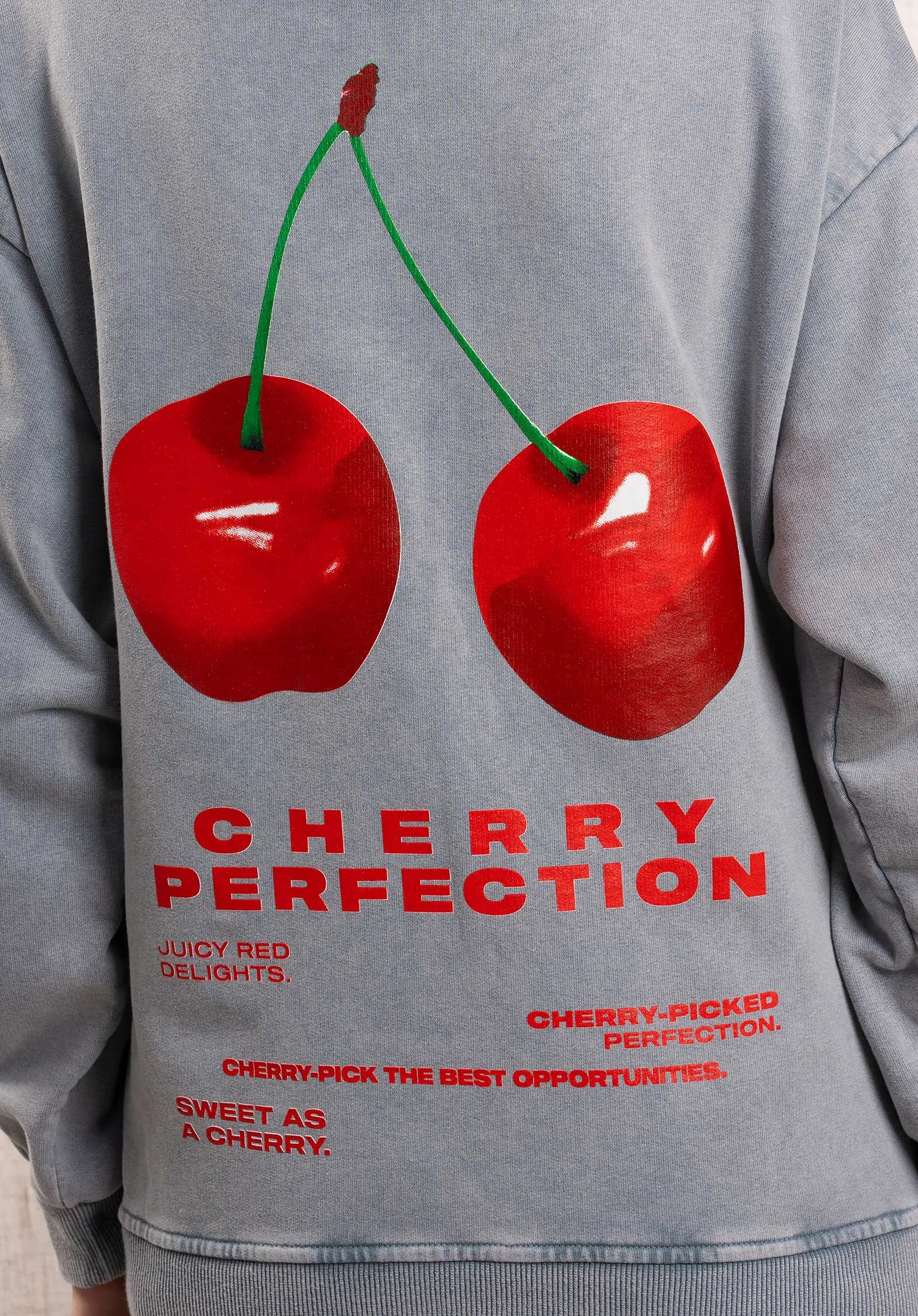 Sweatshirt 6179 Schweiß-Cheey-Grau